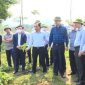 Đánh giá kết quả thực hiện cơ chế, chính sách phát triển cây gai xanh nguyên liệu trên địa bàn tỉnh Thanh Hóa